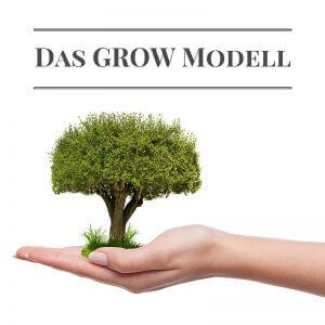 Das GROW Modell