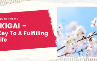 ikigai-meaning-how-to-awakening-coaching